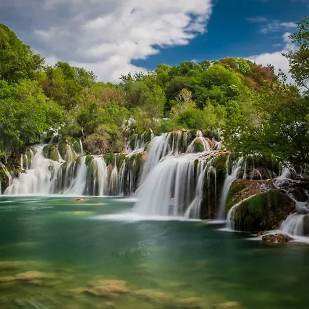 Laura Τρογκίρ